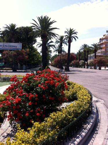 Hotel La Palazzina – San Benedetto del Tronto, MO