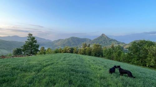 Etno kuća Ostrvica