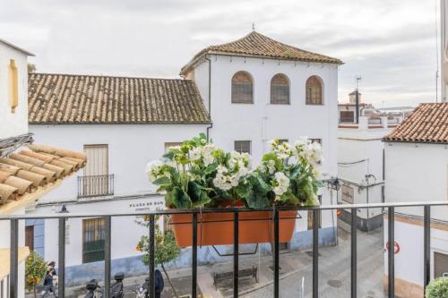 Geysotur JUANI Centro Parking y Wifi gratis, Córdoba (fotografie 10)