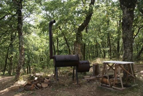 Chez Buddy - cabane de trappeur