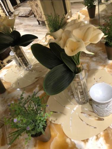 Al Faisal apartment 2