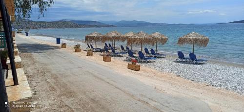 Beach Side Apartments 2