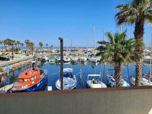 Au Barcarès, vue magnifique sur le port et la mer - Location saisonnière - Le Barcarès