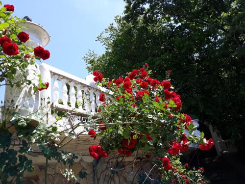 Hotel Gamartata - image 2
