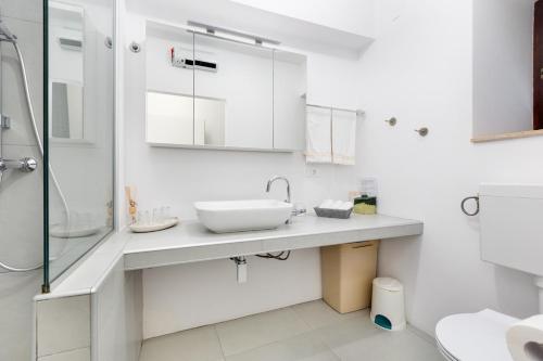Apartment Anton