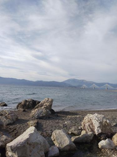 Ζεστή φωλιά, Patra (fotografie 6)