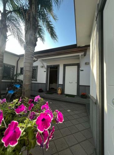 Green Oasis guesthouse