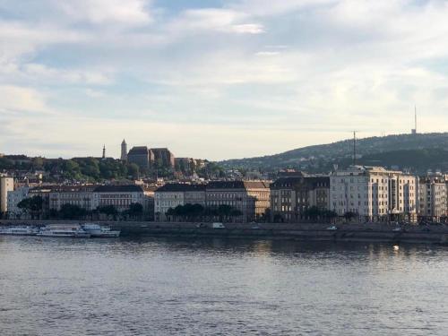 Buda Boutique Apartment, Budapeszt (zdjęcie 11)