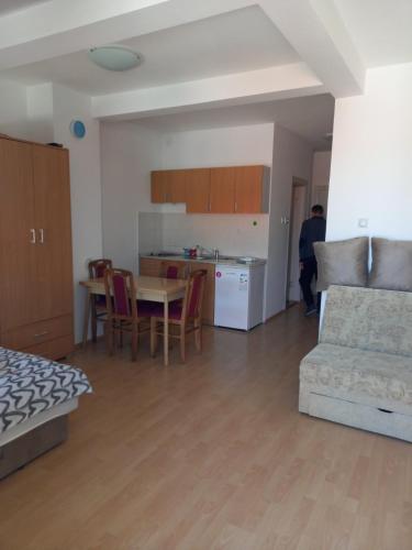 Smeštaj Voli - Borići studio-apartman, Sokobanja, Soko Banja (fotografie 6)