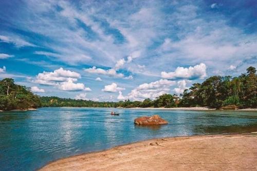 Coatí Lodge Misahuallí - FamiliyJungleParadise (Coati Lodge Misahualli - FamiliyJungleParadise) in Puerto Misahualli