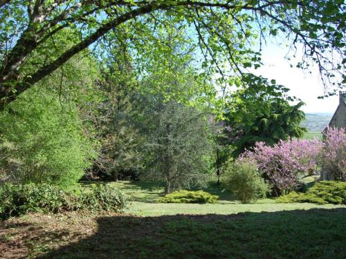 Gîte Auriac-du-Périgord, 4 pièces, 8 personnes - FR-1-616-123