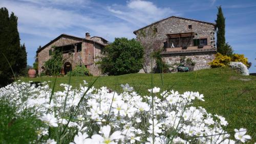 

Colle ai Lecci