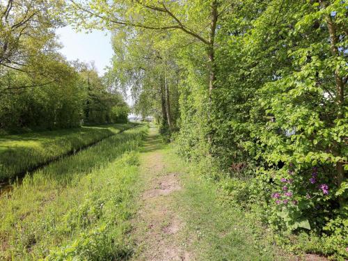 Amazing holiday home in Kamperland with sauna Amazing holiday home in Kamperland with sauna