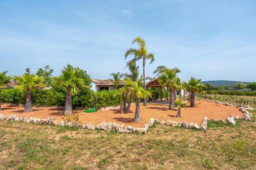 Can Mossenyer Can Mossenyer