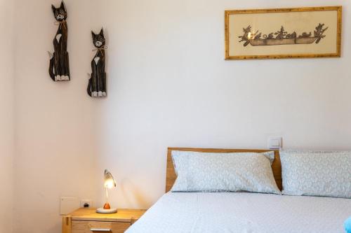 Can Mossenyer Can Mossenyer