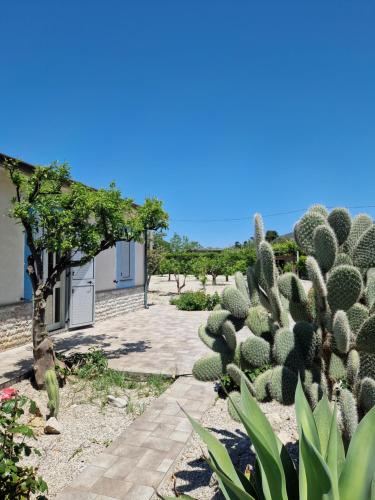 Gli Agrumi di una Volta gîte à louer San Teodoro