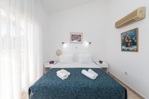 Fig Tree Z Holiday Resort - image 5