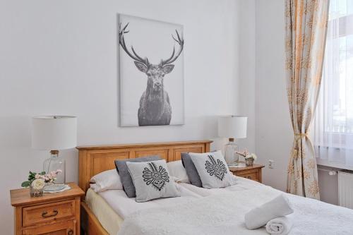 Apartamenty Tatra Club Centrum, Zakopane (photo 9)