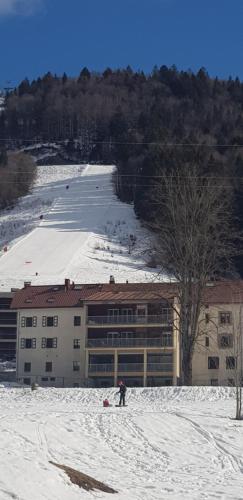 Lelexine - Location saisonnière - Lélex