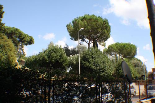 Conny's Home, Roma (foto 9)