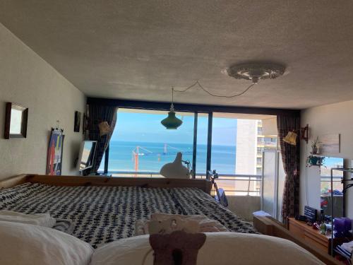 TINY APT w/ balcony and SEAVIEW, even out of your bed !, Ostende (photo 3)