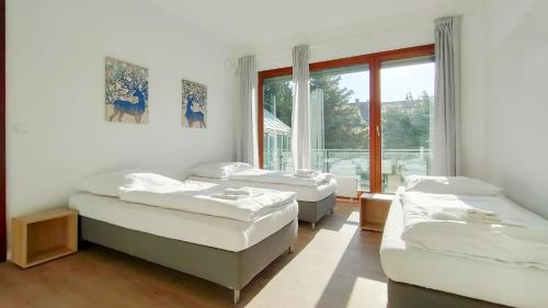 Tolstov Apartments - City Apartments with 2 , 3 and 6 Rooms - 15 Min to Messe DUS and Old Town DUS in Düsseldorf, Deutschland