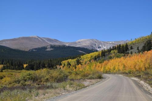 Stay at the Treeline with Fabulous Views! On Top of the World at Ptarmigan Lodge