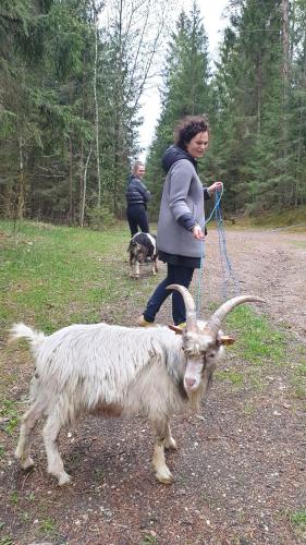 Amatų kalnelis Amatų kalnelis