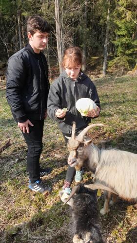 Amatų kalnelis Amatų kalnelis