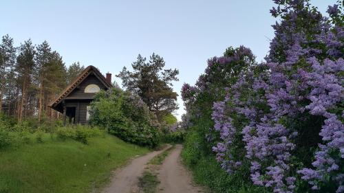 Amatų kalnelis Amatų kalnelis