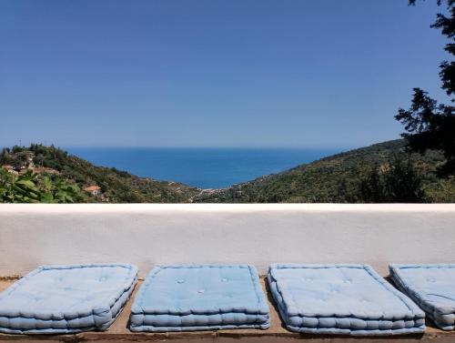 Blue Vista-Ikaria - Θερμά