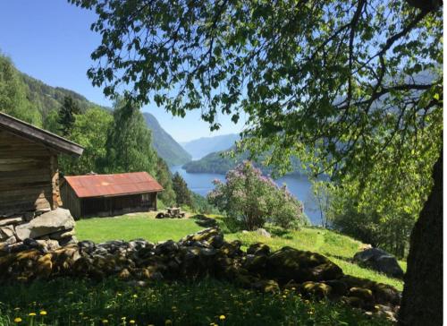 B&B Dalen - Dalen i Telemark holiday home with garden - Bed and Breakfast Dalen