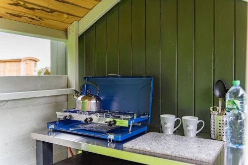 Moss Shepherd's Hut by Bloom Stays