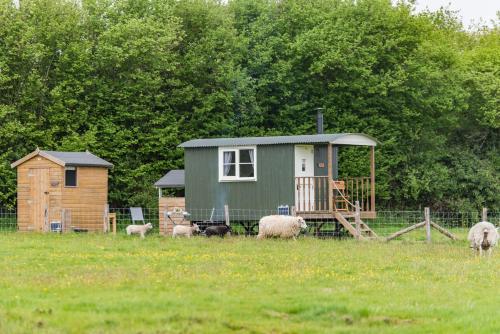 Moss Shepherd's Hut by Bloom Stays