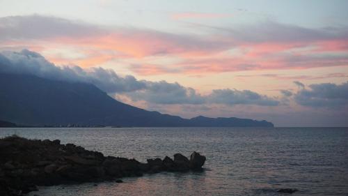 Hotel Peli - image 14