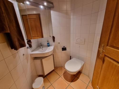 Alpine Boutique Apartments Fagus - image 9