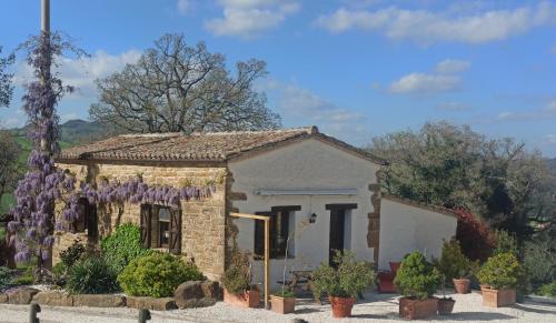 Agriturismo Alla Vecchia Quercia