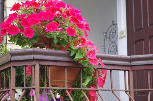 Villand Hotel with Free Private Parking and Self Check In, Riga (Foto 6)