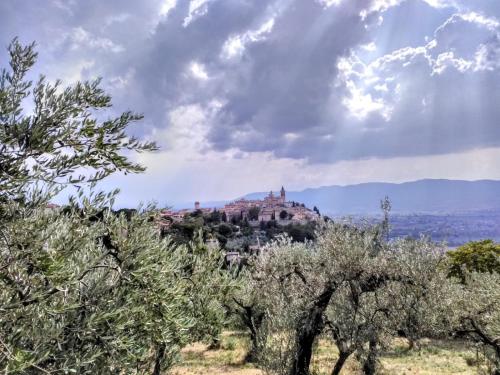 Il Panorama di Trevi in تريفى