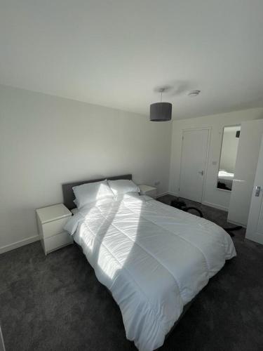 Double room with private bathroom in Basingstoke 3