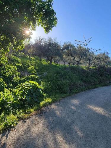 Ancient Stone 'Casa Rosa'- Sea and Mountain View Tranquil Borgo