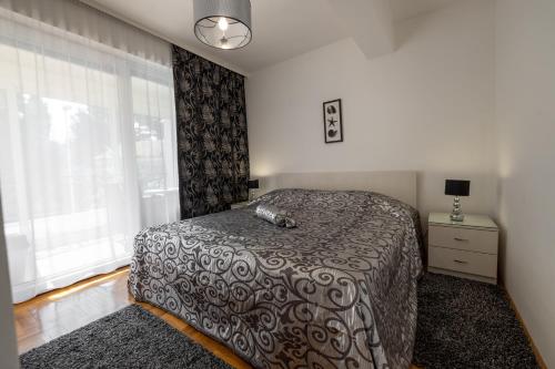 One-Bedroom Apartment image 10