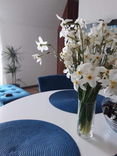 . Apartman Borovi 18