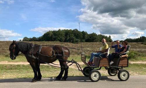 Het Grote Paard