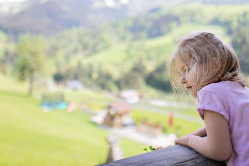 Lohningbauer, Maria Alm am Steinernen Meer (fotografie 9)