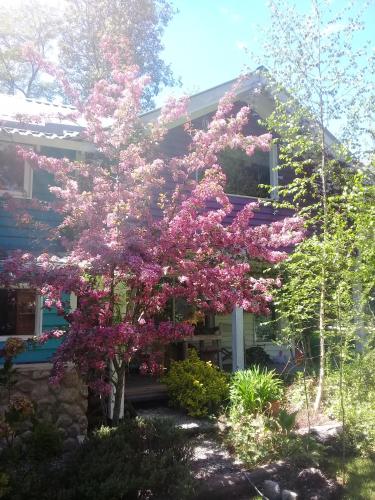 Dodo House in Villa la Angostura