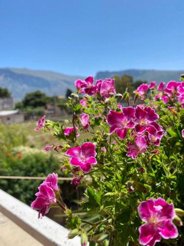 Casa Vacanze Calarossa gîte à louer Serra