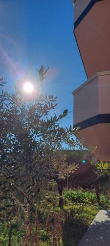 B&B Brancaleone-Marina - Appartamento L'Ulivo - Bed and Breakfast Brancaleone-Marina