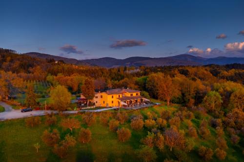 Tenuta Risalpiano