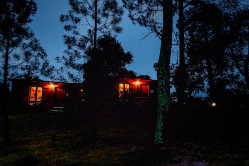 Arrabia Bunga Payva - image 10